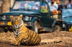 Amritsar Tour